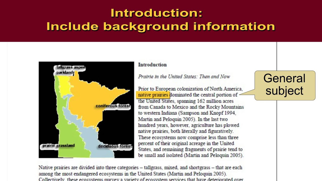 How to Write an Executive Report: A Step-by-Step Guide